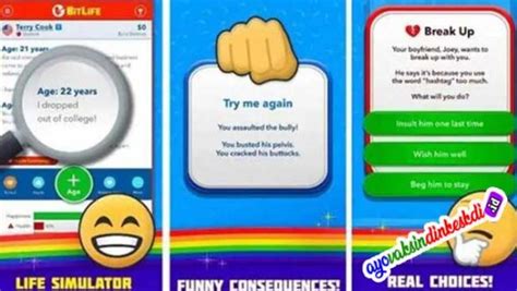 BitLife v3.12.2 MOD APK (Unlimited Money, Bitizenship, God Mode).